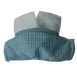 Carbon Filter Face Mask in Blue Gingham Plaid with Activated Carbon PM 2.5 Filter Insert