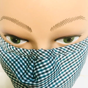 Carbon Filter Face Mask in Blue Gingham Plaid with Activated Carbon PM 2.5 Filter Insert
